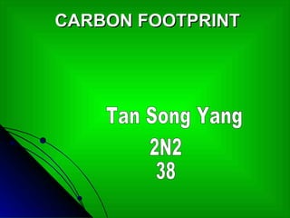 CARBON FOOTPRINT Tan Song Yang 2N2 38 