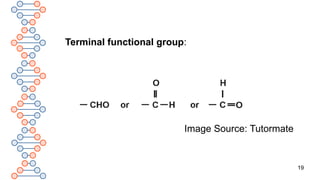 CARBON AND IT'S COMPOUND[PART 2], CLASS 10, SCIENCE | PPTX