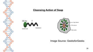 28
Cleansing Action of Soap
Image Source: GeeksforGeeks
 