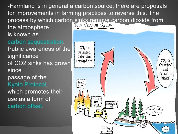 CARBON ABATEMENT TECHNOLOGIES