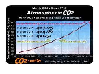 Carbon Accounting or GHG Assessment.pptx