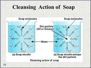 Cleansing Action of Soap 
29 
 