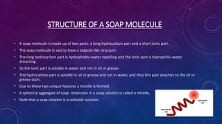 STRUCTURE OF A SOAP MOLECULE
• A soap molecule is made up of two parts: a long hydrocarbon part and a short ionic part.
• The soap molecule is said to have a tadpole like structure.
• The long hydrocarbon part is hydrophobic-water repelling and the ionic part is hydrophilic-water
attracting.
• So the ionic part is soluble in water and not in oil or grease.
• The hydrocarbon part is soluble in oil or grease and not in water, and thus this part attaches to the oil or
grease stain.
• Due to these two unique features a micelle is formed.
• A spherical aggregate of soap molecules in a soap solution is called a micelle.
• Note that a soap solution is a colloidal solution.
 