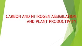 CARBON AND NITROGEN ASSIMILATION
AND PLANT PRODUCTIVITY
 
