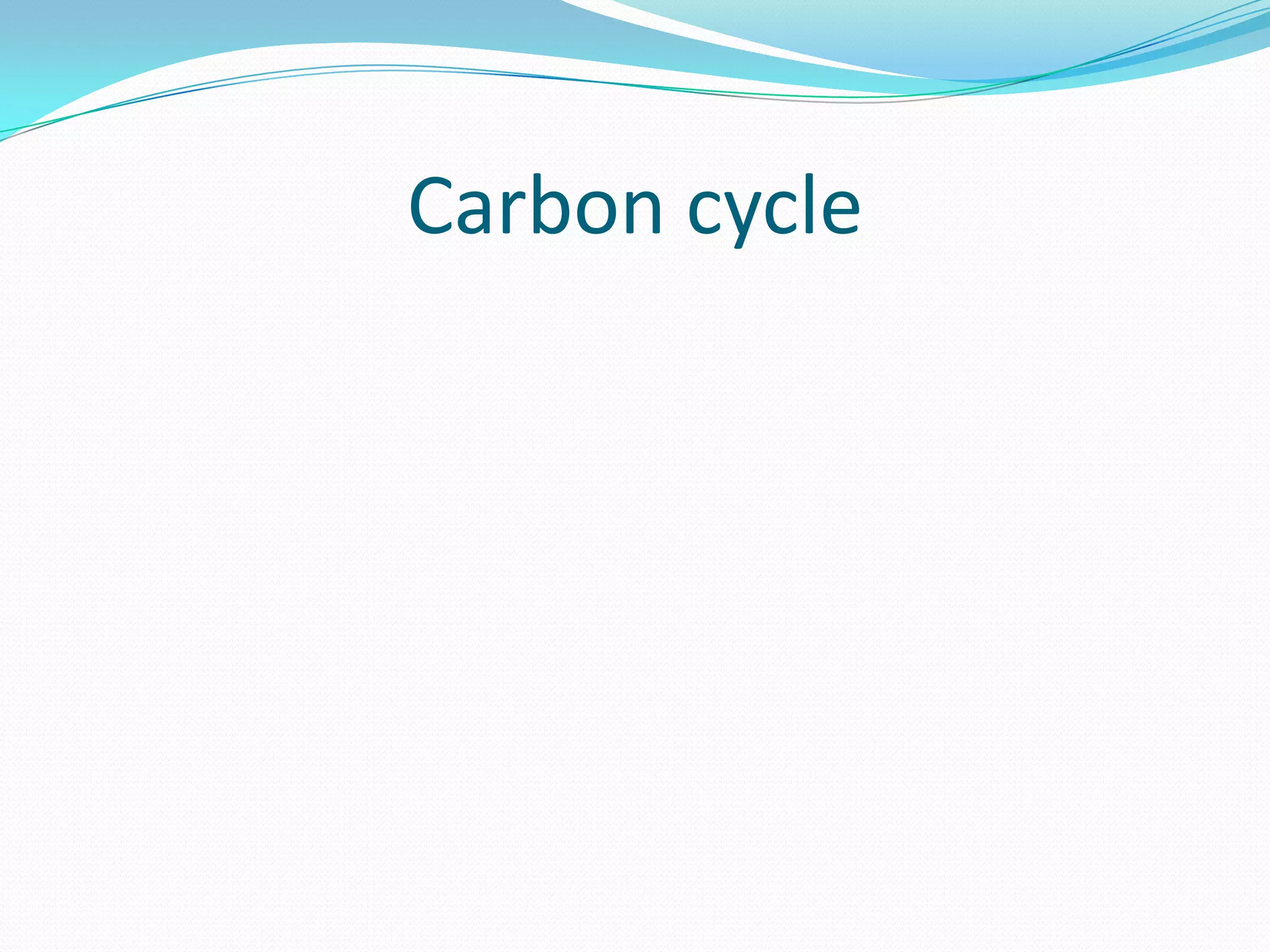 Carbon cycle
 