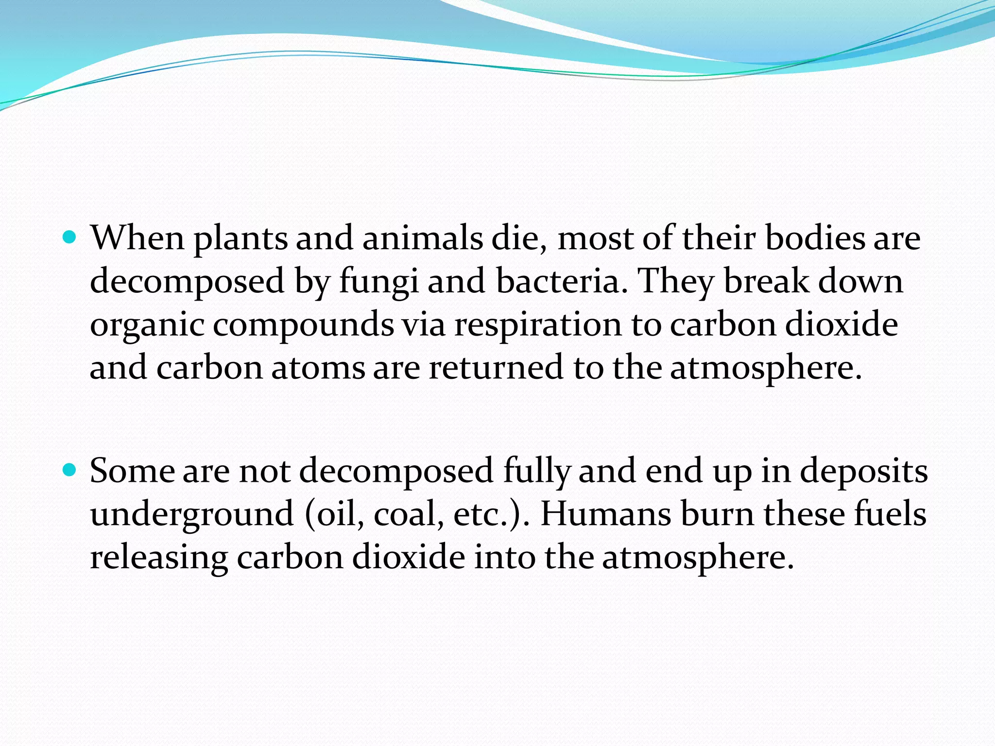  When plants and animals die, most of their bodies are
 decomposed by fungi and bacteria. They break down
 organic compounds via respiration to carbon dioxide
 and carbon atoms are returned to the atmosphere.

 Some are not decomposed fully and end up in deposits
 underground (oil, coal, etc.). Humans burn these fuels
 releasing carbon dioxide into the atmosphere.
 