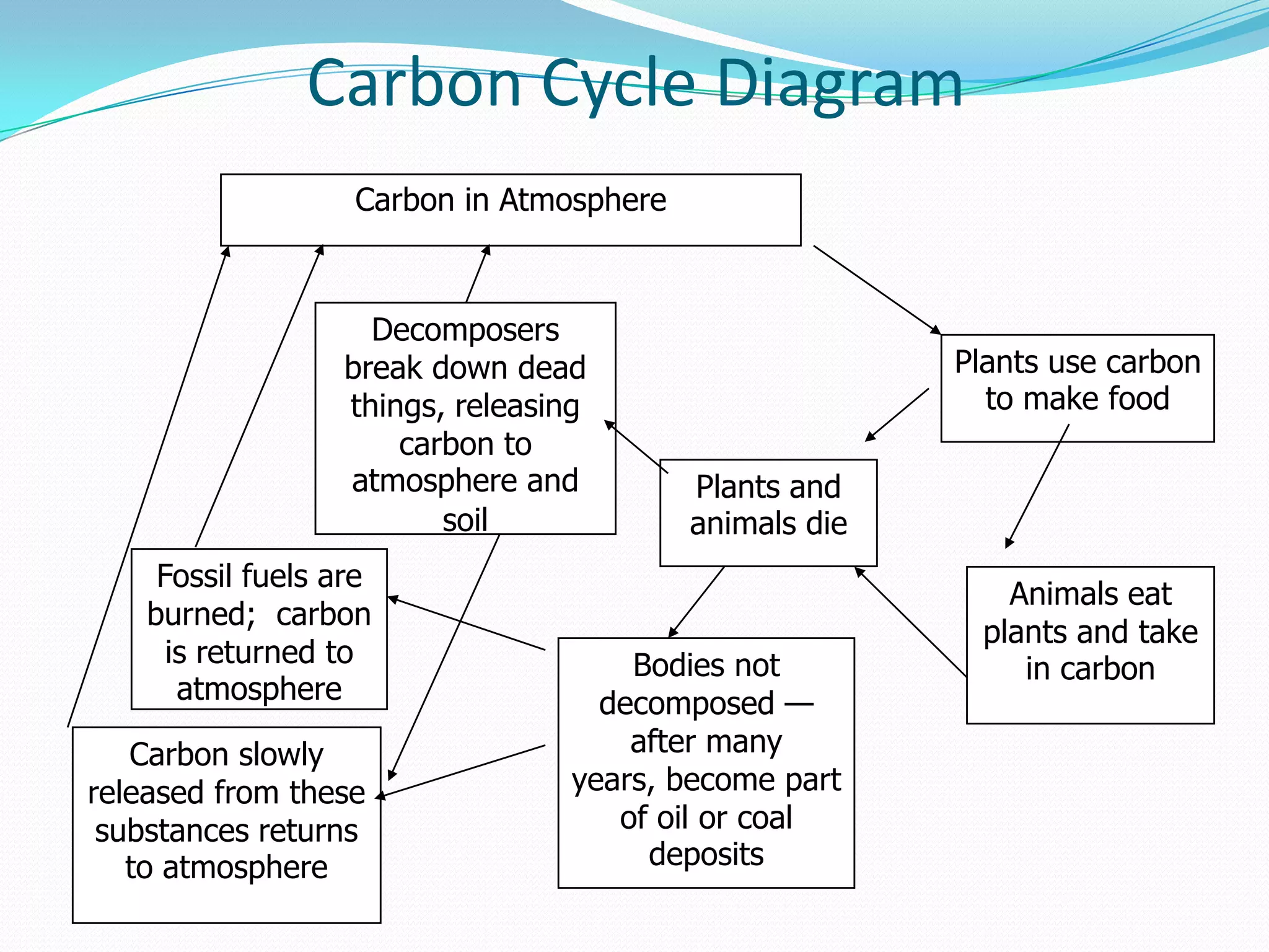 Carbon Cycle Diagram
                   Carbon in Atmosphere



                    Decomposers
                  break down dead                       Plants use carbon
                  things, releasing                       to make food
                      carbon to
                  atmosphere and          Plants and
                         soil             animals die
     Fossil fuels are
                                                           Animals eat
    burned; carbon
                                                         plants and take
      is returned to                 Bodies not             in carbon
       atmosphere                  decomposed —
   Carbon slowly                     after many
released from these              years, become part
 substances returns                 of oil or coal
   to atmosphere                      deposits
 