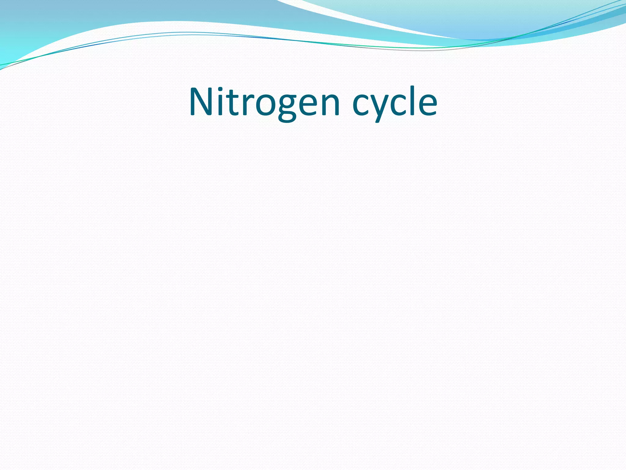 Nitrogen cycle
 