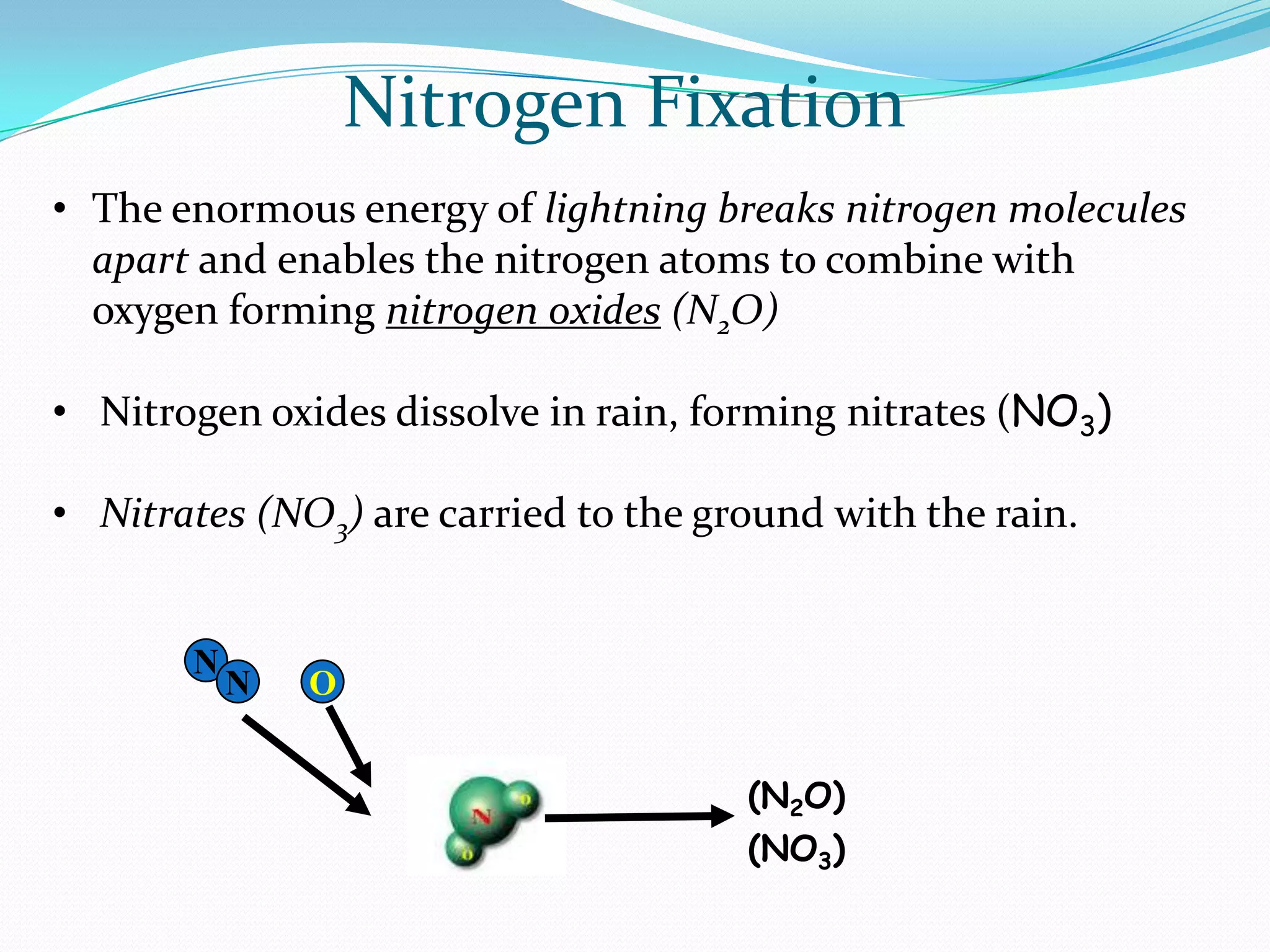 Nitrogen Fixation
• The enormous energy of lightning breaks nitrogen molecules
  apart and enables the nitrogen atoms to combine with
  oxygen forming nitrogen oxides (N2O)

• Nitrogen oxides dissolve in rain, forming nitrates (NO3)

• Nitrates (NO3) are carried to the ground with the rain.


       N
           N   O


                                      (N2O)
                                      (NO3)
 