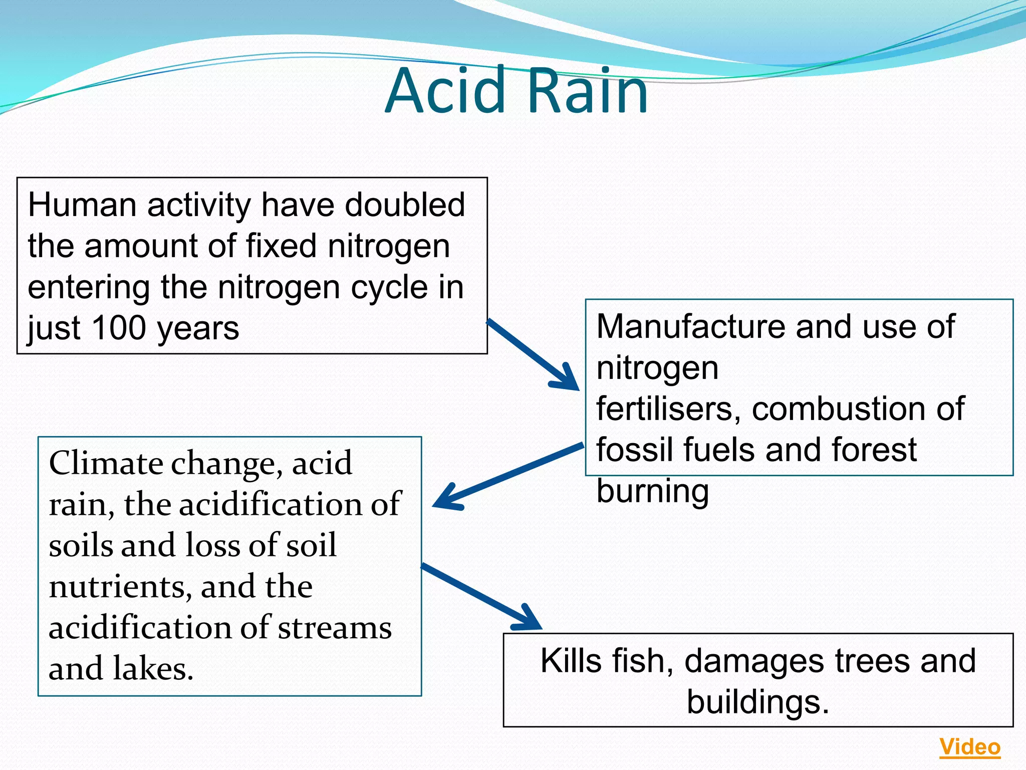 Acid Rain
Human activity have doubled
the amount of fixed nitrogen
entering the nitrogen cycle in
just 100 years                      Manufacture and use of
                                    nitrogen
                                    fertilisers, combustion of
 Climate change, acid               fossil fuels and forest
 rain, the acidification of         burning
 soils and loss of soil
 nutrients, and the
 acidification of streams
 and lakes.                      Kills fish, damages trees and
                                             buildings.
                                                            Video
 