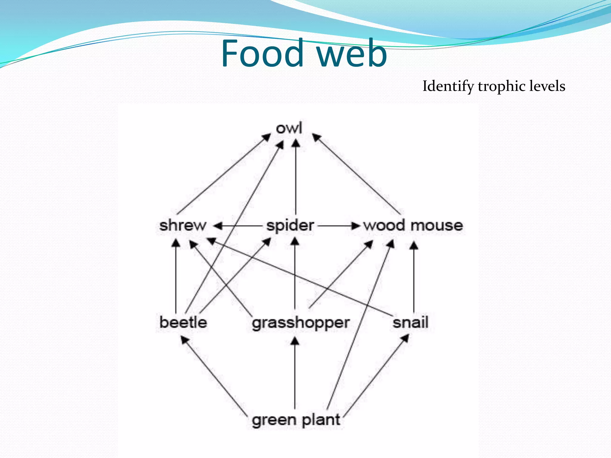Food web
           Identify trophic levels
 
