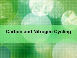 Carbon and Nitrogen Cycling 