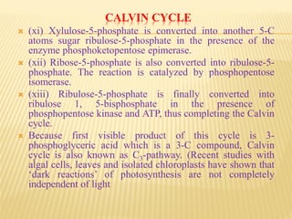 CALVIN CYCLE
 (xi) Xylulose-5-phosphate is converted into another 5-C
atoms sugar ribulose-5-phosphate in the presence of the
enzyme phosphoketopentose epimerase.
 (xii) Ribose-5-phosphate is also converted into ribulose-5-
phosphate. The reaction is catalyzed by phosphopentose
isomerase.
 (xiii) Ribulose-5-phosphate is finally converted into
ribulose 1, 5-bisphosphate in the presence of
phosphopentose kinase and ATP, thus completing the Calvin
cycle.
 Because first visible product of this cycle is 3-
phosphoglyceric acid which is a 3-C compound, Calvin
cycle is also known as C3-pathway. (Recent studies with
algal cells, leaves and isolated chloroplasts have shown that
‘dark reactions’ of photosynthesis are not completely
independent of light
 