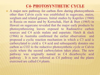 C4- PHOTOSYNTHETIC CYCLE
 A major new pathway for carbon flow during photosynthesis
other than Calvin cycle was established in sugarcane, maize,
sorghum and related grasses. Initial studies by Kaprilov (1960)
in Russia on maize and by Kortschak, Hart & Burr (1965) in
Hawaii on sugarcane revealed that the major early products by
photosynthesizing leaves exposed to Radioactive carbon
sources and C4 acids malate and aspartate. Hatch & slack
(1966) in Australia confirmed the earlier observation and
proposed a cyclic reaction mechanism in which a C3 acid is
carboxylated to yield a C4 acid and subsequently donates one
carbon as CO2 to the reductive photosynthetic cycle or Calvin
cycle where the second carboxylation takes place. The new
pathway was originally named as C4 dicarboxylic acid
pathway . It is now referred as C4 pathway and the plants
exercised are called C4 plants.
 