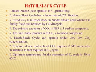 HATCH-SLACK CYCLE
 1.Hatch-Slack Cycle operates in C4 plants only.
 2. Hatch-Slack Cycle has a faster rate of CO2 fixation.
 3. Fixed CO2 is released back in bundle sheath cells where it is
finally fixed and reduced by Calvin cycle.
 4. The primary acceptor of CO2 is PEP, a 3-carbon compound.
 5. The first stable product is OAA, a 4-carbon compound.
 6. Hatch-Slack Cycle can operate under very low CO2
concentration.
 7. Fixation of one molecule of CO2 requires 2 ATP molecules
in addition to that required in C3 cycle.
 8. Optimum temperature for the operation of C4 cycle is 30 to
45°C.
 