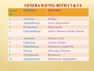 GENERA HAVING BOTH C3 & C4
Serial
No.
Family Name Genus Name
1. Aizoaceae Mollugo
2. Amaranthaceae Aerva, Alternanthera
3. Boraginaceae Heliotropium
4. Chenopodiaceae Artplex, Brassica, Kochla, Suaeda
5. Asteraceae Flaveria, Pectis
6. Cyperaceae Cyperus, Scripus
7. Euphorbiaceae Chamaesyce, Euphorbia
8. Poaceae Alloteropis, Panicum
9. Nyctaginaceae Boerhaavia
10. Zygophyllaceae Kallstroemia, Zygophyllum
 