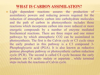 WHAT IS CARBON ASSIMILATION?
 Light dependent reactions assures the production of
assimilatory powers and reducing powers required for the
reduction of atmospheric carbon into carbohydrate molecules
and the path of carbon in photosynthesis includes those
reactions which incorporate carbon into more reduced or more
energetic compounds by a number of enzyme mediated
biochemical reactions. There are three major and one minor
pathways by which atmospheric CO2 can be assimilated in
photosynthesis. The first is the Calvin cycle or C3 cycle since
the early product in this pathway is a C3 compound 3-
Phosphoglyceric acid (PGA). It is also known as reductive
pentose phosphate pathway or photosynthetic carbon reduction
cycle (PCR). The second is called C4 cycle because the early
products are C4 acids- malate or aspartate , while terminal
steps include the reactions of Calvin cycle.
 