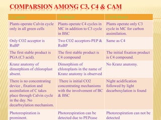 COMPARSION AMONG C3, C4 & CAM
C3 plants C4-Plants CAM-Plants
Plants operate Calvin cycle
only in all green cells
Plants operate C4 cycles in
MC in addition to C3 cycle
in BSC
Plants operate only C3
cycle in MC for carbon
assimilation.
Only CO2 acceptor is
RuBP
Two CO2 acceptors-PEP &
RuBP
Same as C4
The first stable product is
PGA (C3 acid).
The first stable product is
C4 compound
The initial fixation product
is C4 compound.
Kranz anatomy of
dimorphism of chloroplast
absent.
Dimorphism of
chloroplasts in the name of
Kranz anatomy is observed
No Kranz anatomy.
There is no concentrating
device , fixation and
assimilation of C takes
place through Calvin cycle
in the day. No
decarbxylation mechanism.
There is initial CO2
concentrating mechanisms
with the involvement of BC
& BSC
Night acidification
followed by light
decarboxylation is found
Photorespiration is
prominent.
Photorespiration can be
detected due to PEPcase
Photorespiration can not be
detected
 