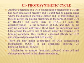 C1- PHOTOSYNTHETIC CYCLE
 Another operation of a CO2 concentrating mechanism ( CCM)
has been discovered recently and is exhibited by aquatic algae
where the dissolved inorganic carbon (C1) is transported into
the cell across the plasma membrane in the form of either CO2
or HCO3(-) but stored there as HCO3 (-) ions. Its
decarboxylation i.e the formation of CO2 and H2O by the
enzyme carbonic anhydrase (CA) leads to enrichment with
CO2 around the active site of rubisco under the extreme CO2
limiting condition. This results in enhanced affinity for CO2
and improved photosynthetic efficiency.
 There are four major components of CO2 concentrating
mechanisms (CCM) in an organisms showing C1
photosynthesis as follows:
 1. Mechanism to transport inorganic carbon(C1) into cell and
chloroplast situated in the plasma membrane,
 