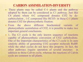 CARBON ASSIMILATION-DIVERSITY
 These plants may be called C-1 plants and the pathway
adopted by them can be considered as C1 pathway. Just like
C4 plants where 4-C compound donates CO2 by de-
carboxylation , 1-C compound like HCO3- in these C-1 plants
donates CO2 for photosynthetic fixation.
 From the above different biochemical variants of
photosynthetic assimilation of CO2, it is possible to make two
important general conclusions.
 1. The C3 cycle is the only known sequence of reactions
capable of photosynthetic conversion of CO2 carbohydrate.
One of the important characteristics of the C3 cycle is its auto
catalytic ability of generating CO2 acceptor molecule RuBP,
while the other cycles do not have this property. In fact, the
other pathways require operation of several enzymes in
addition to those Calvin cycle, whereas the reactions of Calvin
cycle are common to all plants.
 