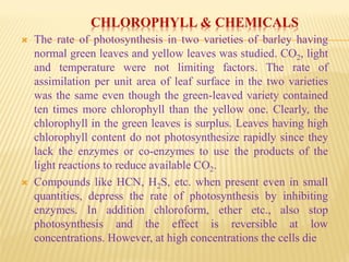 CHLOROPHYLL & CHEMICALS
 The rate of photosynthesis in two varieties of barley having
normal green leaves and yellow leaves was studied. CO2, light
and temperature were not limiting factors. The rate of
assimilation per unit area of leaf surface in the two varieties
was the same even though the green-leaved variety contained
ten times more chlorophyll than the yellow one. Clearly, the
chlorophyll in the green leaves is surplus. Leaves having high
chlorophyll content do not photosynthesize rapidly since they
lack the enzymes or co-enzymes to use the products of the
light reactions to reduce available CO2.
 Compounds like HCN, H2S, etc. when present even in small
quantities, depress the rate of photosynthesis by inhibiting
enzymes. In addition chloroform, ether etc., also stop
photosynthesis and the effect is reversible at low
concentrations. However, at high concentrations the cells die
 