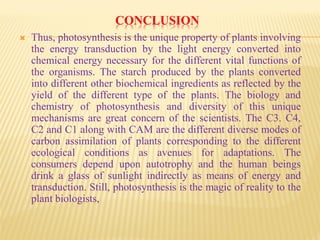 CONCLUSION
 Thus, photosynthesis is the unique property of plants involving
the energy transduction by the light energy converted into
chemical energy necessary for the different vital functions of
the organisms. The starch produced by the plants converted
into different other biochemical ingredients as reflected by the
yield of the different type of the plants. The biology and
chemistry of photosynthesis and diversity of this unique
mechanisms are great concern of the scientists. The C3. C4,
C2 and C1 along with CAM are the different diverse modes of
carbon assimilation of plants corresponding to the different
ecological conditions as avenues for adaptations. The
consumers depend upon autotrophy and the human beings
drink a glass of sunlight indirectly as means of energy and
transduction. Still, photosynthesis is the magic of reality to the
plant biologists,
 