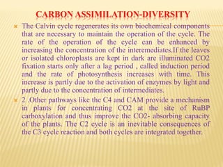 CARBON ASSIMILATION-DIVERSITY
 The Calvin cycle regenerates its own biochemical components
that are necessary to maintain the operation of the cycle. The
rate of the operation of the cycle can be enhanced by
increasing the concentration of the interemediates.If the leaves
or isolated chloroplasts are kept in dark are illuminated CO2
fixation starts only after a lag period , called induction period
and the rate of photosynthesis increases with time. This
increase is partly due to the activation of enzymes by light and
partly due to the concentration of intermediates.
 2 .Other pathways like the C4 and CAM provide a mechanism
in plants for concentrating CO2 at the site of RuBP
carboxylation and thus improve the CO2- absorbing capacity
of the plants. The C2 cycle is an inevitable consequences of
the C3 cycle reaction and both cycles are integrated together.
 