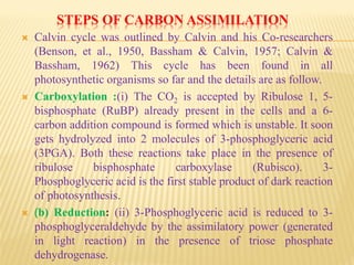 STEPS OF CARBON ASSIMILATION
 Calvin cycle was outlined by Calvin and his Co-researchers
(Benson, et al., 1950, Bassham & Calvin, 1957; Calvin &
Bassham, 1962) This cycle has been found in all
photosynthetic organisms so far and the details are as follow.
 Carboxylation :(i) The CO2 is accepted by Ribulose 1, 5-
bisphosphate (RuBP) already present in the cells and a 6-
carbon addition compound is formed which is unstable. It soon
gets hydrolyzed into 2 molecules of 3-phosphoglyceric acid
(3PGA). Both these reactions take place in the presence of
ribulose bisphosphate carboxylase (Rubisco). 3-
Phosphoglyceric acid is the first stable product of dark reaction
of photosynthesis.
 (b) Reduction: (ii) 3-Phosphoglyceric acid is reduced to 3-
phosphoglyceraldehyde by the assimilatory power (generated
in light reaction) in the presence of triose phosphate
dehydrogenase.
 