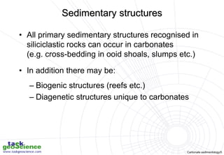Carbonate sedimentology/5
• All primary sedimentary structures recognised in
siliciclastic rocks can occur in carbonates
(...