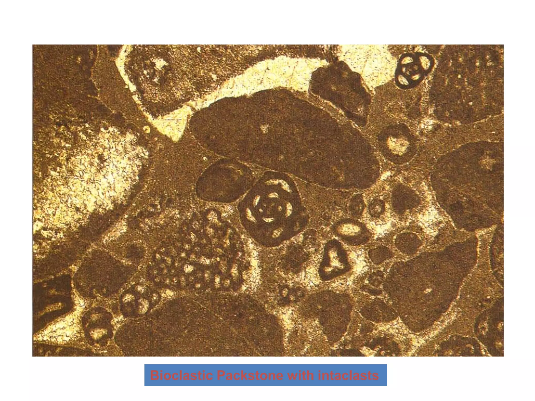 Carbonate Reservoir.pdf