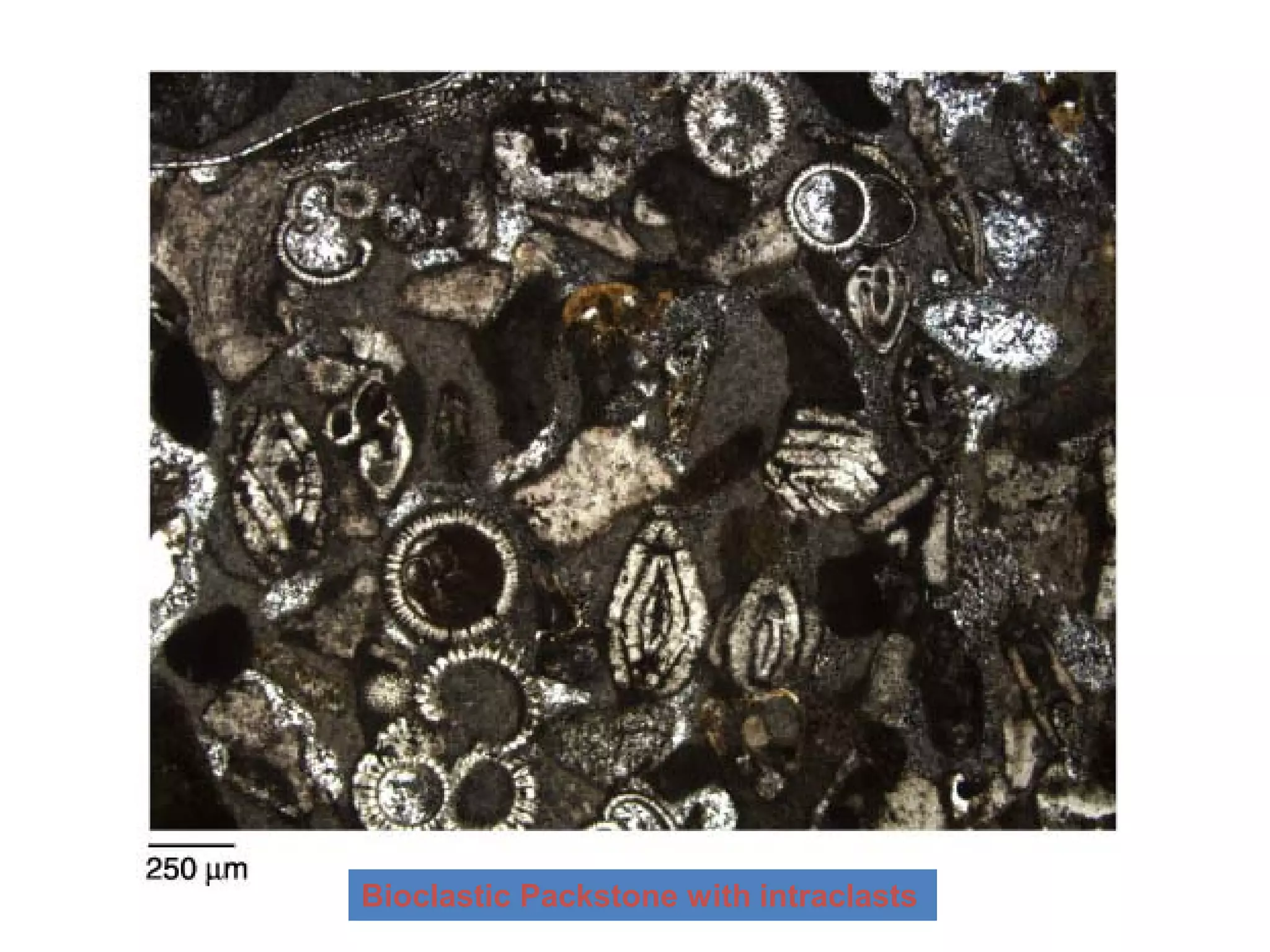 Carbonate Reservoir.pdf