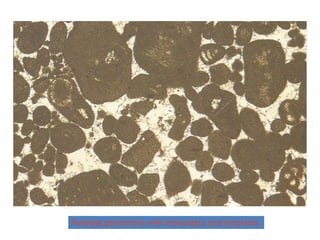 Peloidal grainstone with intraclasts and bioclasts
 