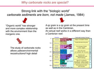 Strong link with the “biologic world”
carbonate sediments are born, not made (James, 1984)
“Organic world” has stronger
and more complex relationship
with the environment than the
inorganic one.
A qz grain is a qz grain at the present time
as well as in the Cambrian.
An actual reef works in a different way than
a Cambrian reef.
The study of carbonate rocks
allows paleoenvironmental
recostructionof high detail
Why carbonate rocks are special?
 