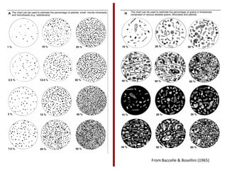 From Baccelle & Bosellini (1965)
 