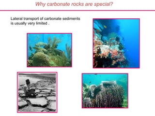 Lateral transport of carbonate sediments
is usually very limited .
Why carbonate rocks are special?
 