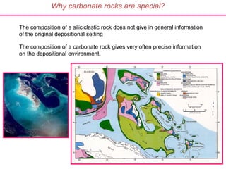 The composition of a carbonate rock gives very often precise information
on the depositional environment.
The composition of a siliciclastic rock does not give in general information
of the original depositional setting
Why carbonate rocks are special?
 