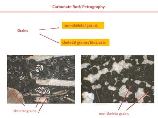 Grains
non-skeletal grains
skeletal grains/bioclasts
non-skeletal grains
Carbonate Rock-Petrography
skeletal grains
 