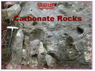 Carbonate Rocks
 