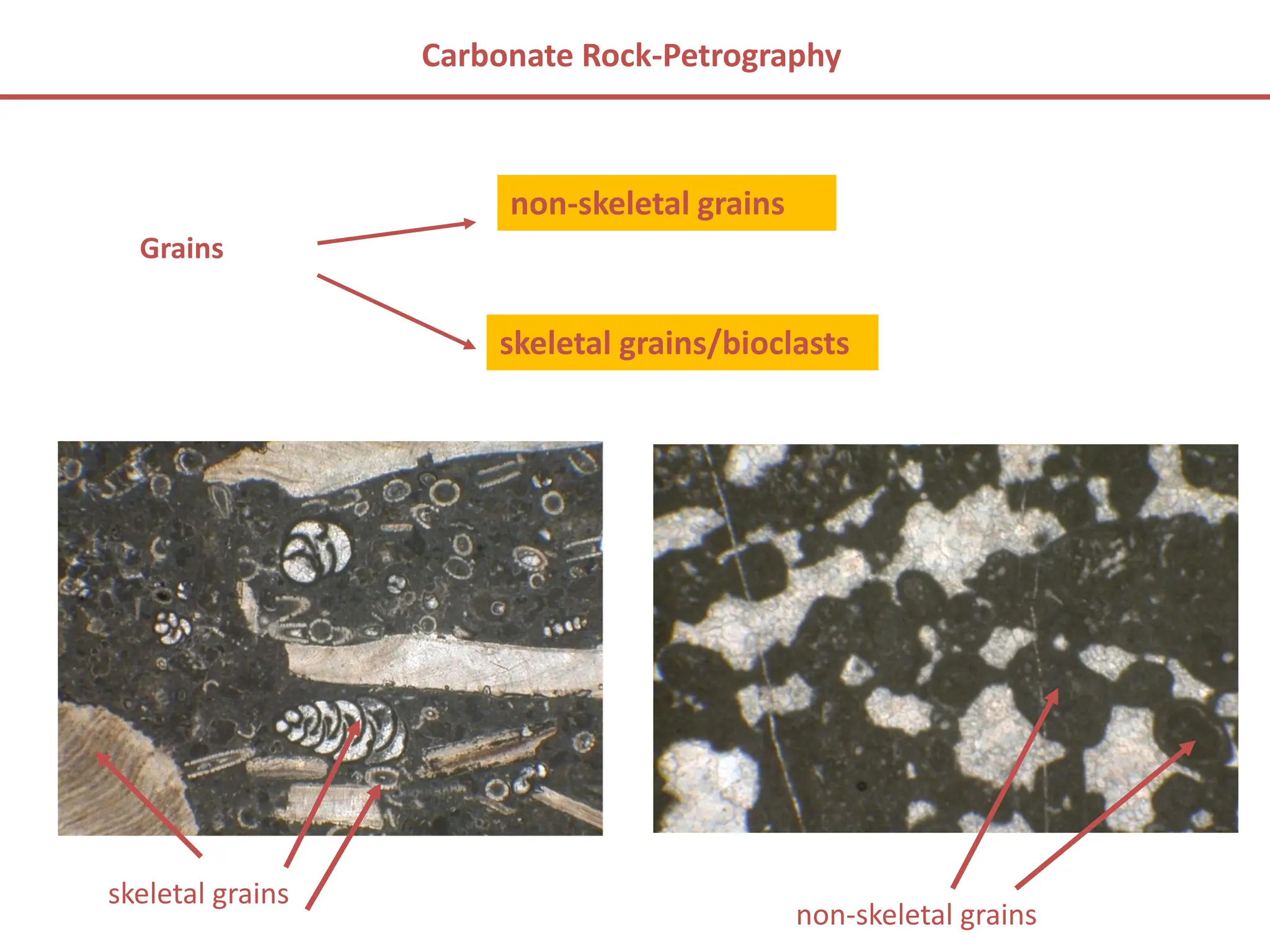Carbonate rocks origin, nature, occurrences, classification and ...