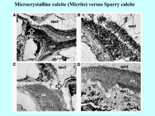 Microcrystalline calcite (Micrite) versus Sparry calcite
 
