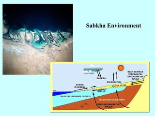 Sabkha Environment
 