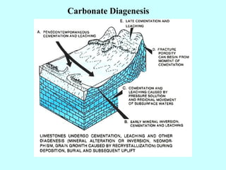 Carbonate Diagenesis
 