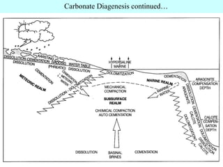 Carbonate Diagenesis continued…
 