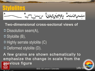 Stylolites Dissolution seam(A), Stylolite (B),  Highly serrate stylolite (C) Deformed stylolite (D).  A few grains are shown schematically to emphasize the change in scale from the previous figure ( after Bruce Railsback ) Two-dimensional cross-sectonal views of 