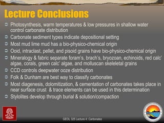 Lecture Conclusions Photosynthesis, warm temperatures & low pressures in shallow water control carbonate distribution  Carbonate sediment types indicate depositional setting Most mud lime mud has a bio-physico-chemical origin Ooid, intraclast, pellet, and pisoid grains have bio-physico-chemical origin Mineralogy & fabric separate foram’s, brach’s, bryozoan, echinoids, red calc’ algae, corals, green calc’ algae, and molluscan skeleletal grains CCD controls deepwater ooze distribution Folk & Dunham are best way to classify carbonates Most diagenesis, dolomitization, & cementation of carbonates takes place in near surface crust  & trace elements can be used in this determination  Stylolites develop through burial & solution/compaction 