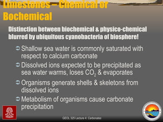 Limestones – Chemical or Bochemical Shallow sea water is commonly saturated with respect to calcium carbonate Dissolved ions expected to be precipitated as sea water warms, loses CO 2  & evaporates Organisms generate shells & skeletons from dissolved ions Metabolism of organisms cause carbonate precipitation  Distinction between biochemical & physico-chemical blurred by ubiquitous cyanobacteria of biosphere! 