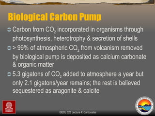 Biological Carbon Pump  Carbon from CO 2  incorporated in organisms through photosynthesis, heterotrophy & secretion of shells  > 99% of atmospheric CO 2  from volcanism removed by biological pump is deposited as calcium carbonate & organic matter  5.3 gigatons of CO 2  added to atmosphere a year but only 2.1 gigatons/year remains; the rest is believed sequestered as aragonite & calcite 