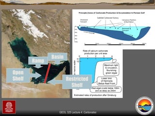 Basin Ramp Restricted Shelf Open Shelf 