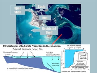 Basin Rim Restricted Shelf Open Shelf 