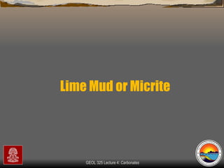 Lime Mud or Micrite 